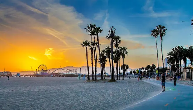 在美留学必读：如何快速获得医疗证明与代开病假条服务｜Medicalin Remote官方指南